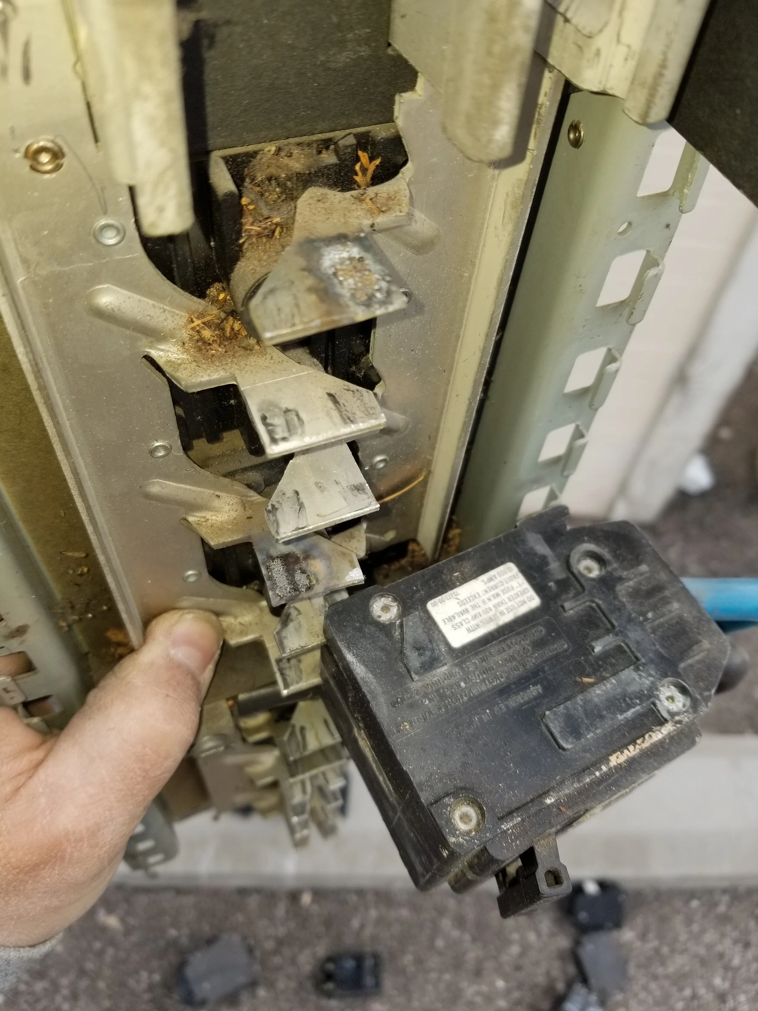 Newman Electric job site photo